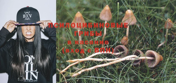 спайс Абдулино