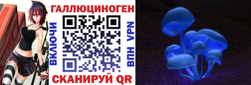 Псилоцибиновые грибы прущие грибы  купить   Дмитровск 