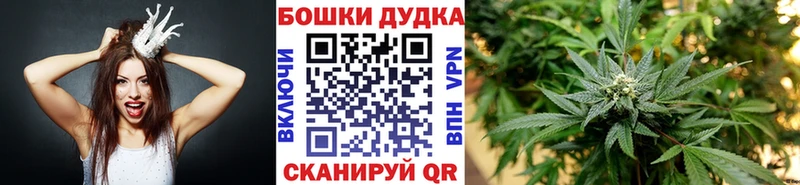 Каннабис MAZAR  цены   kraken tor  Дмитровск 
